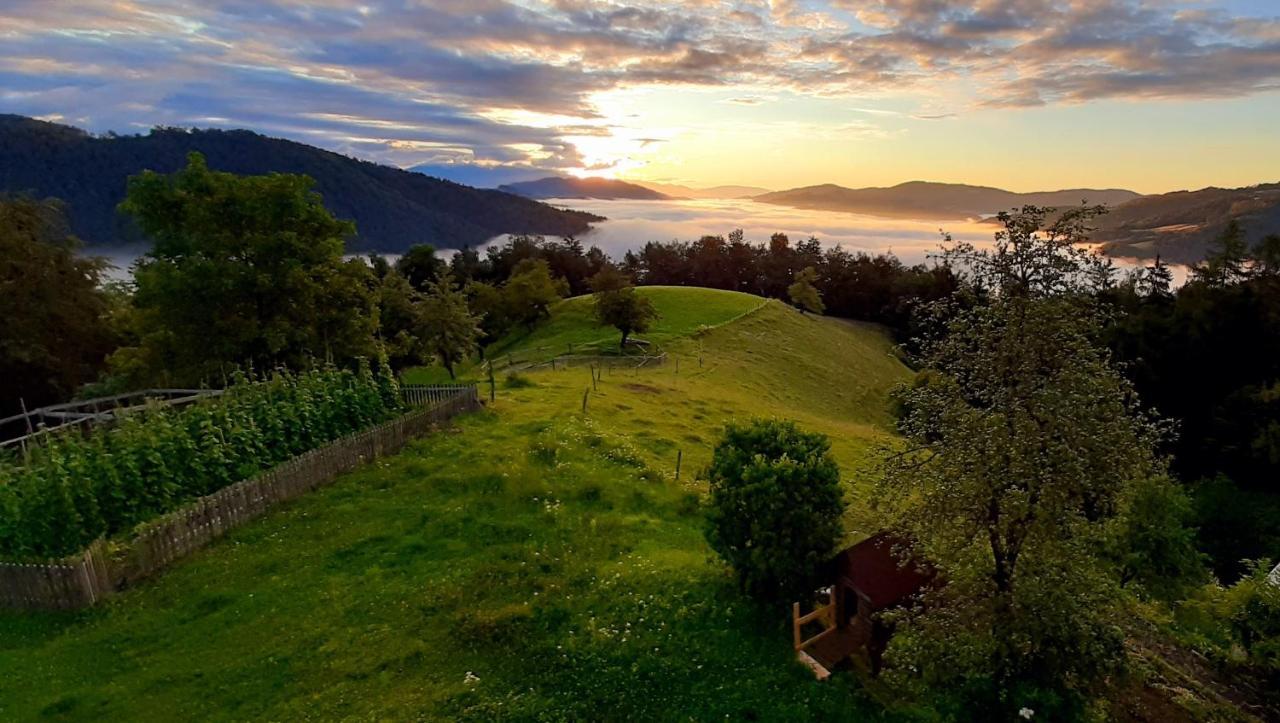 Healing Farm Lejlighed Gorenja Vas  Eksteriør billede